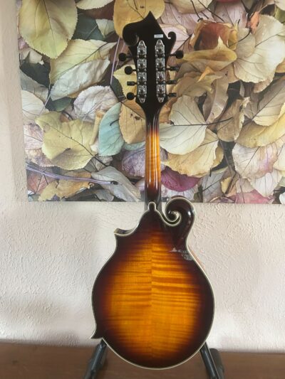 Tailwater TW-F5 Mandolin