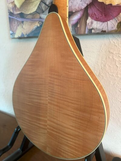 Weber Aspen #2 Mandolin