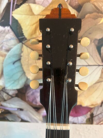 Lyon and Healy Mandolin