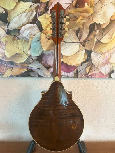 Lyon and Healy Mandolin