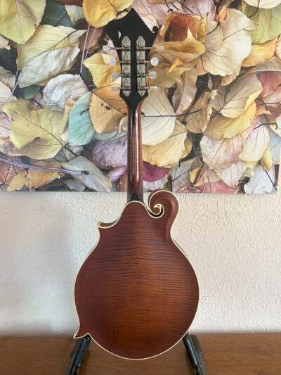 Weber Yellowstone F Mandolin