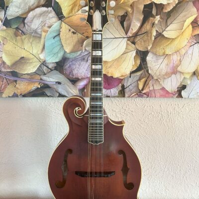 Weber Yellowstone F Mandolin