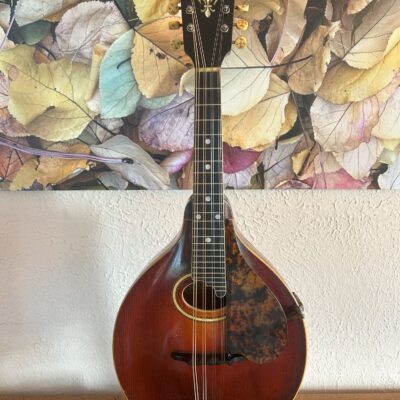 1917 Gibson A4 Mandolin