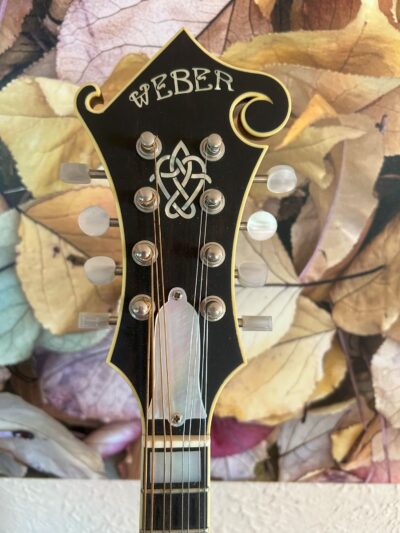 Weber Yellowstone F Mandolin