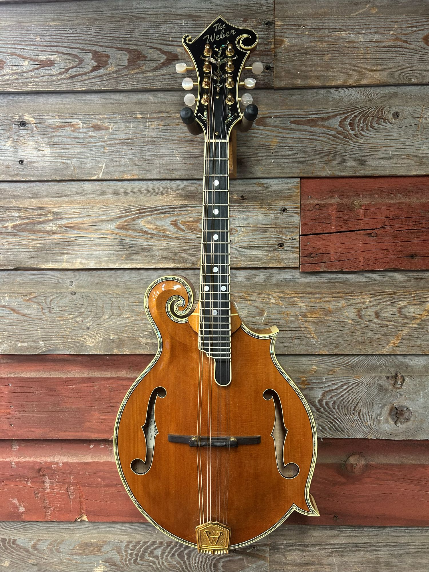 Weber Custom Fern Mandolin