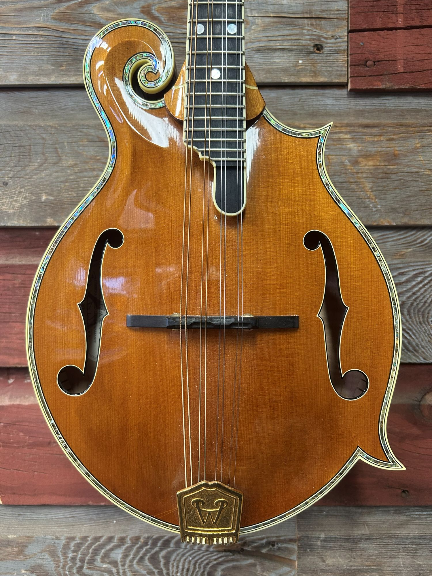 Weber Custom Fern Mandolin