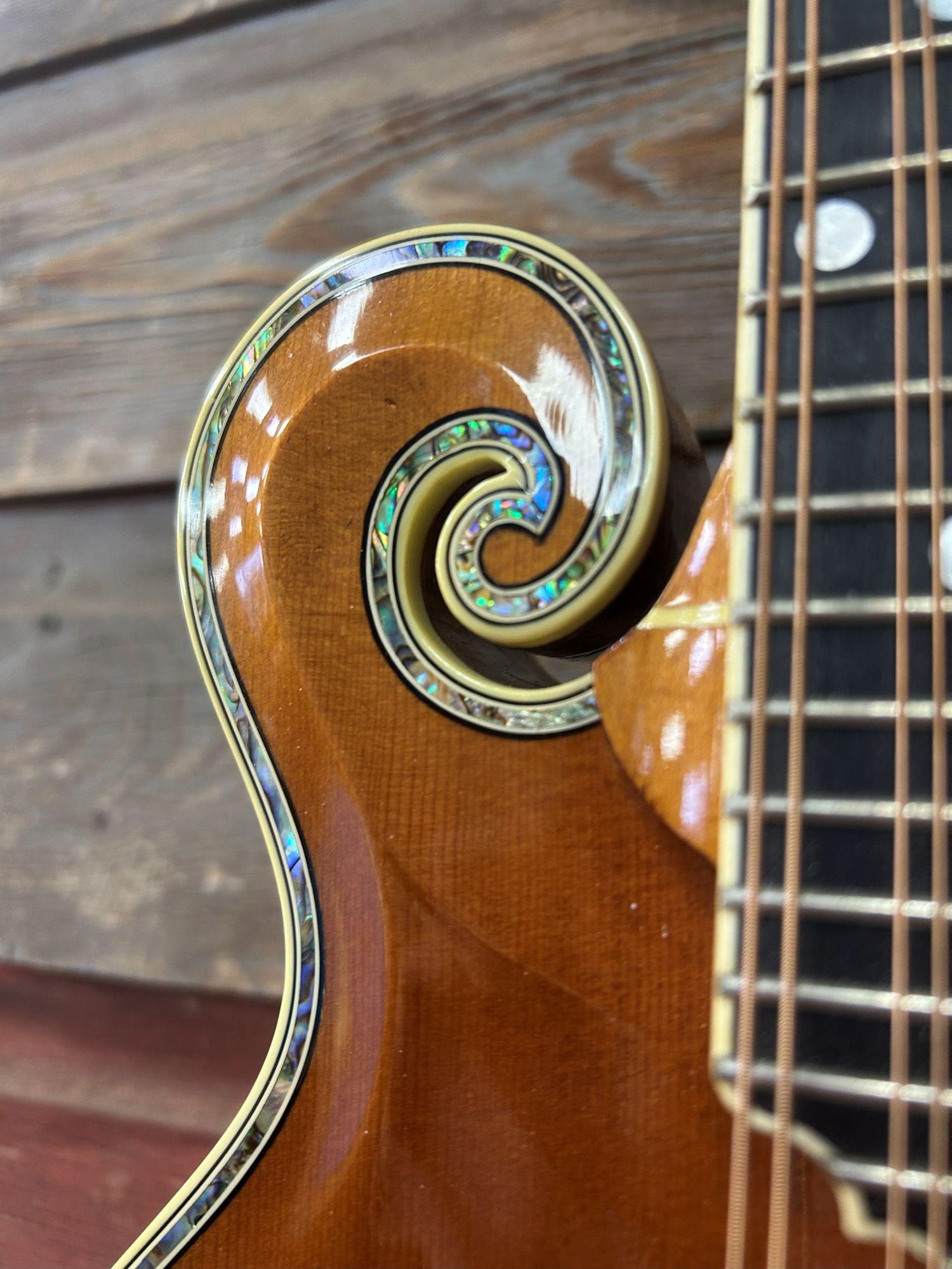 Weber Custom Fern Mandolin