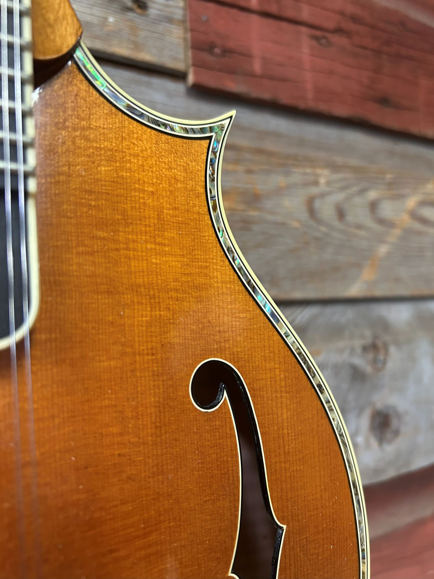 Weber Custom Fern Mandolin