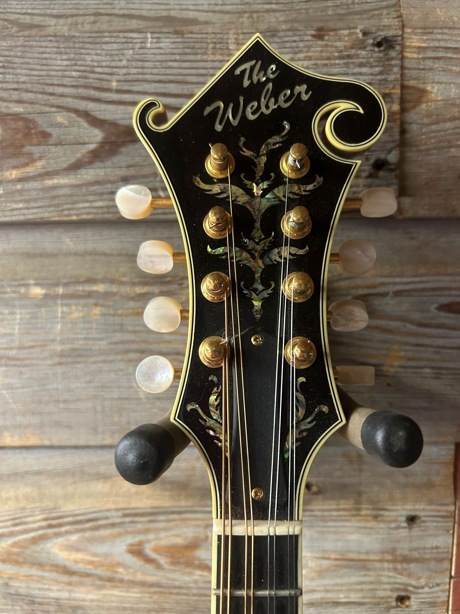 Weber Custom Fern Mandolin