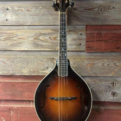 Pava A-Style Mandolin