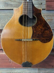 Stahl Mandolin