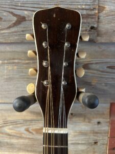Stahl Mandolin