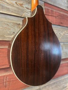 Stahl Mandolin