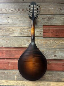 Collings MT Mandola