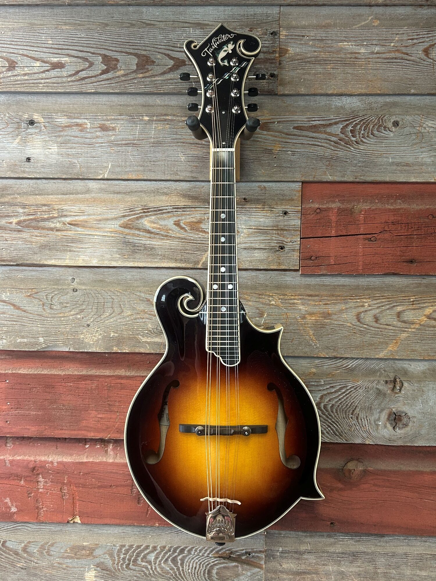 Tailwater TW-F5 Mandolin