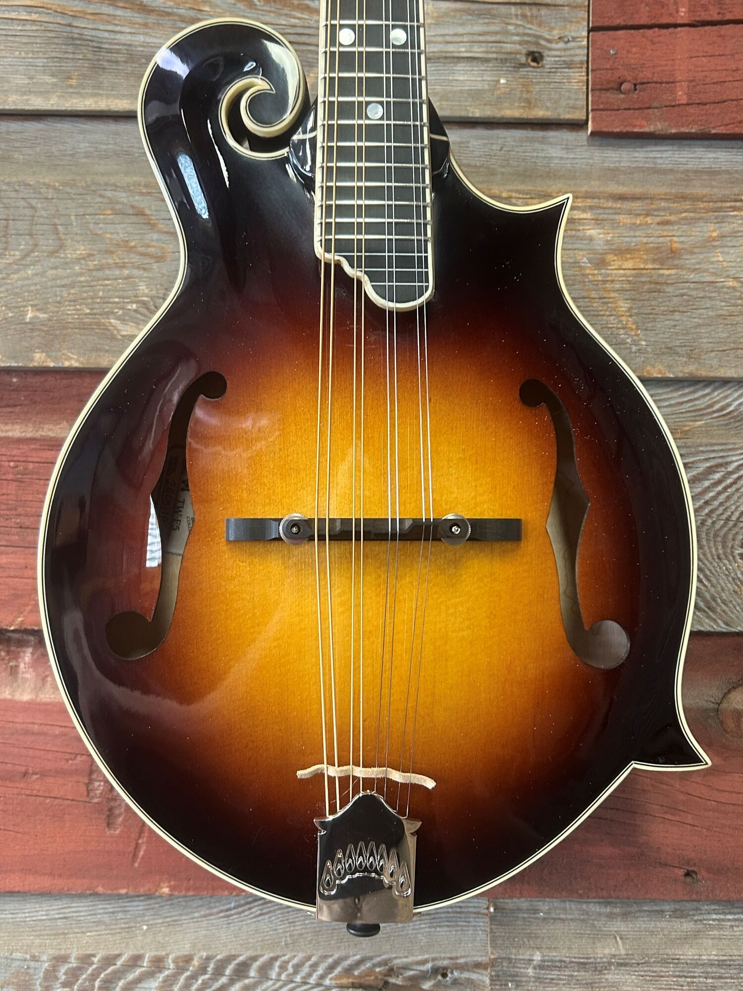 Tailwater TW-F5 Mandolin