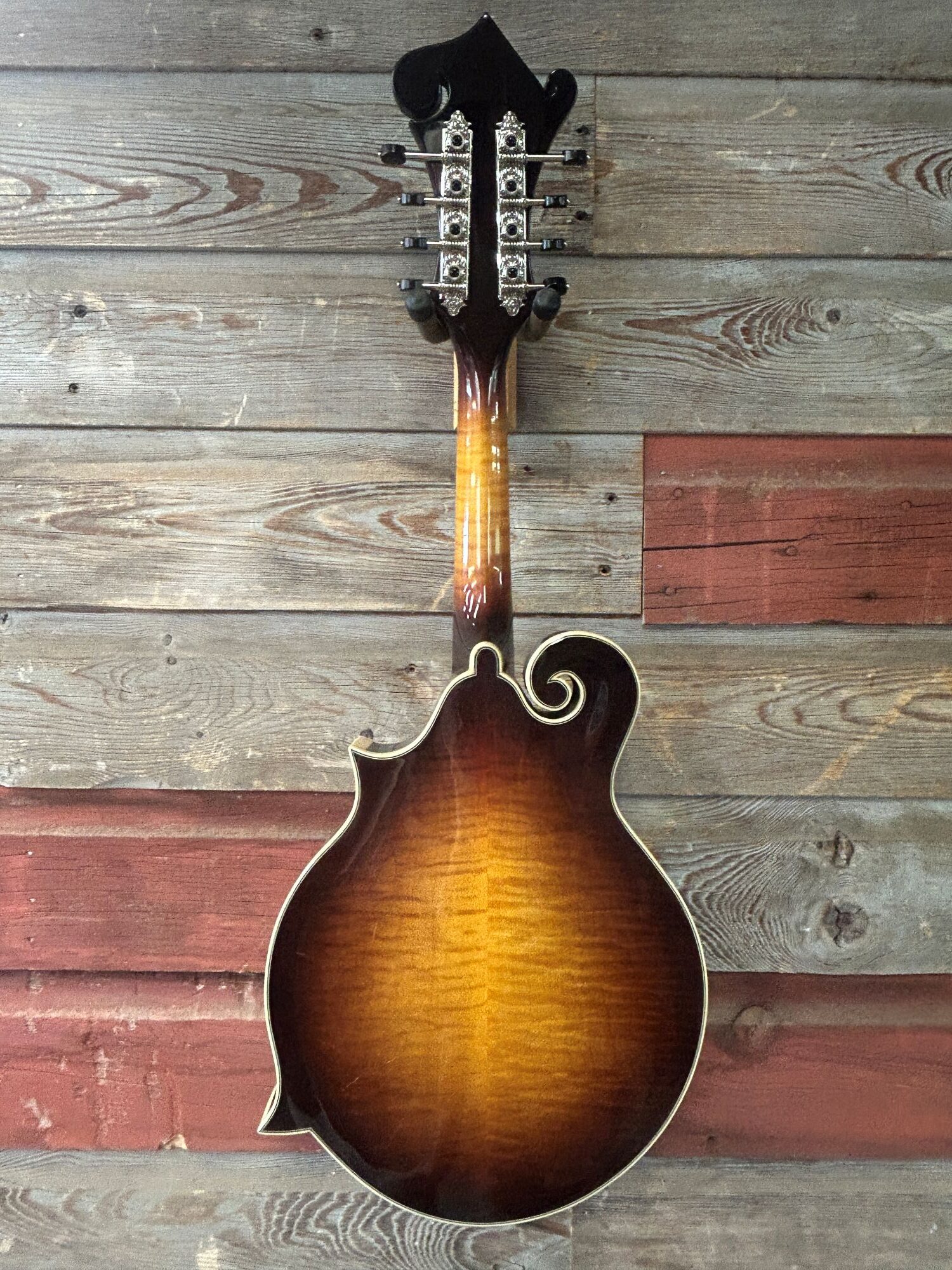 Tailwater TW-F5 Mandolin