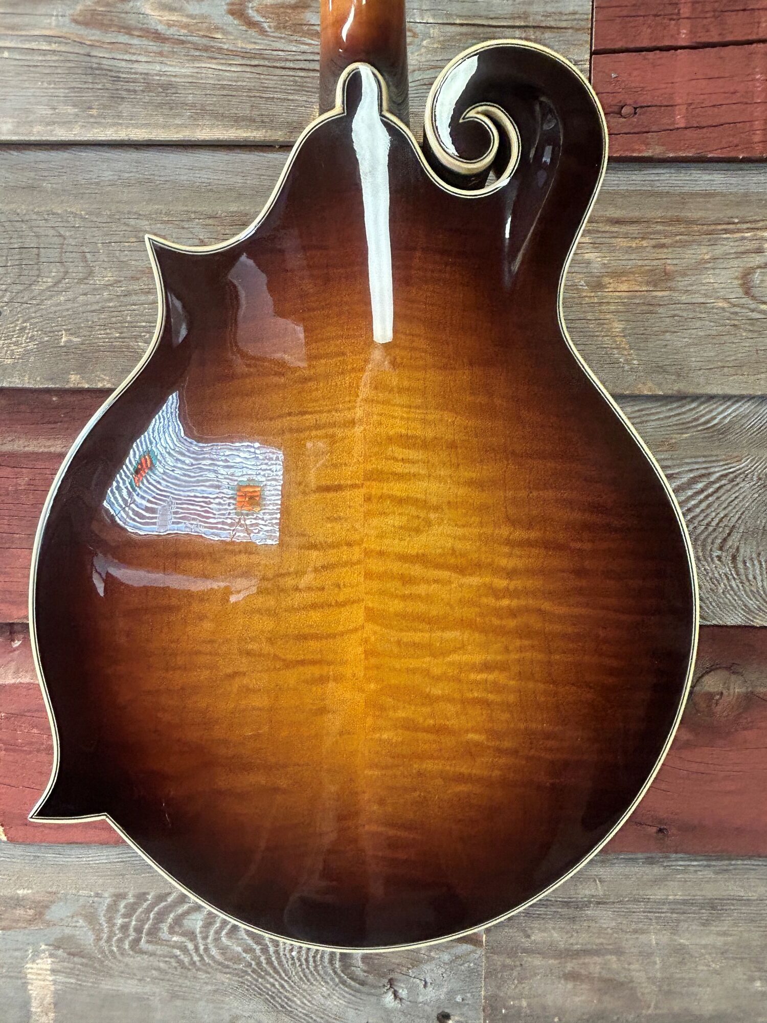 Tailwater TW-F5 Mandolin