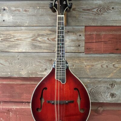 Tailwater TW-A5 Mandolin