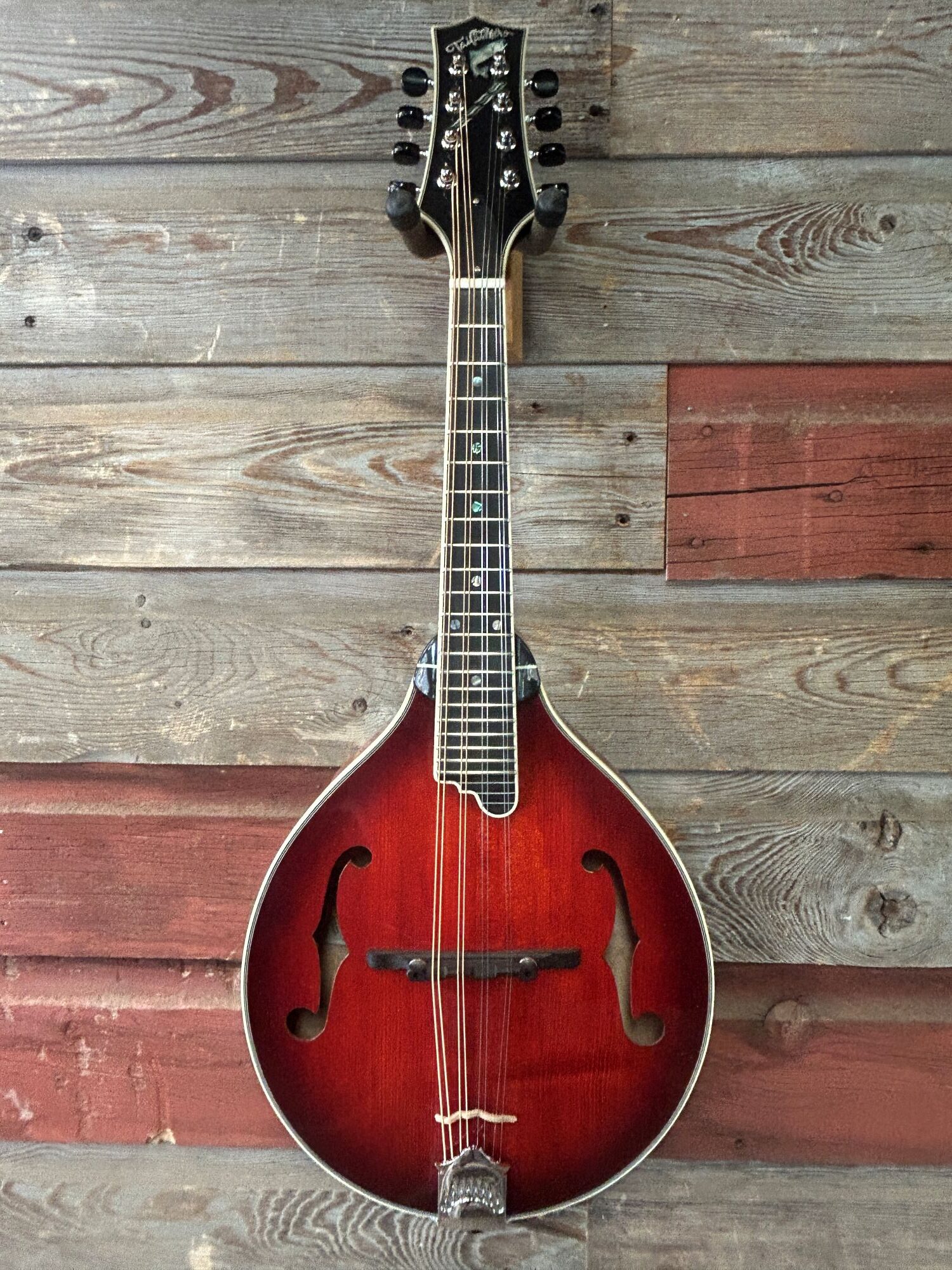 Tailwater TW-A5 Mandolin