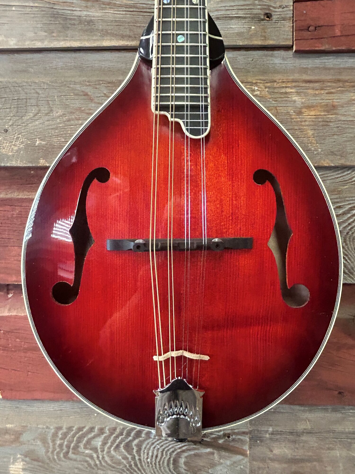 Tailwater TW-A5 Mandolin