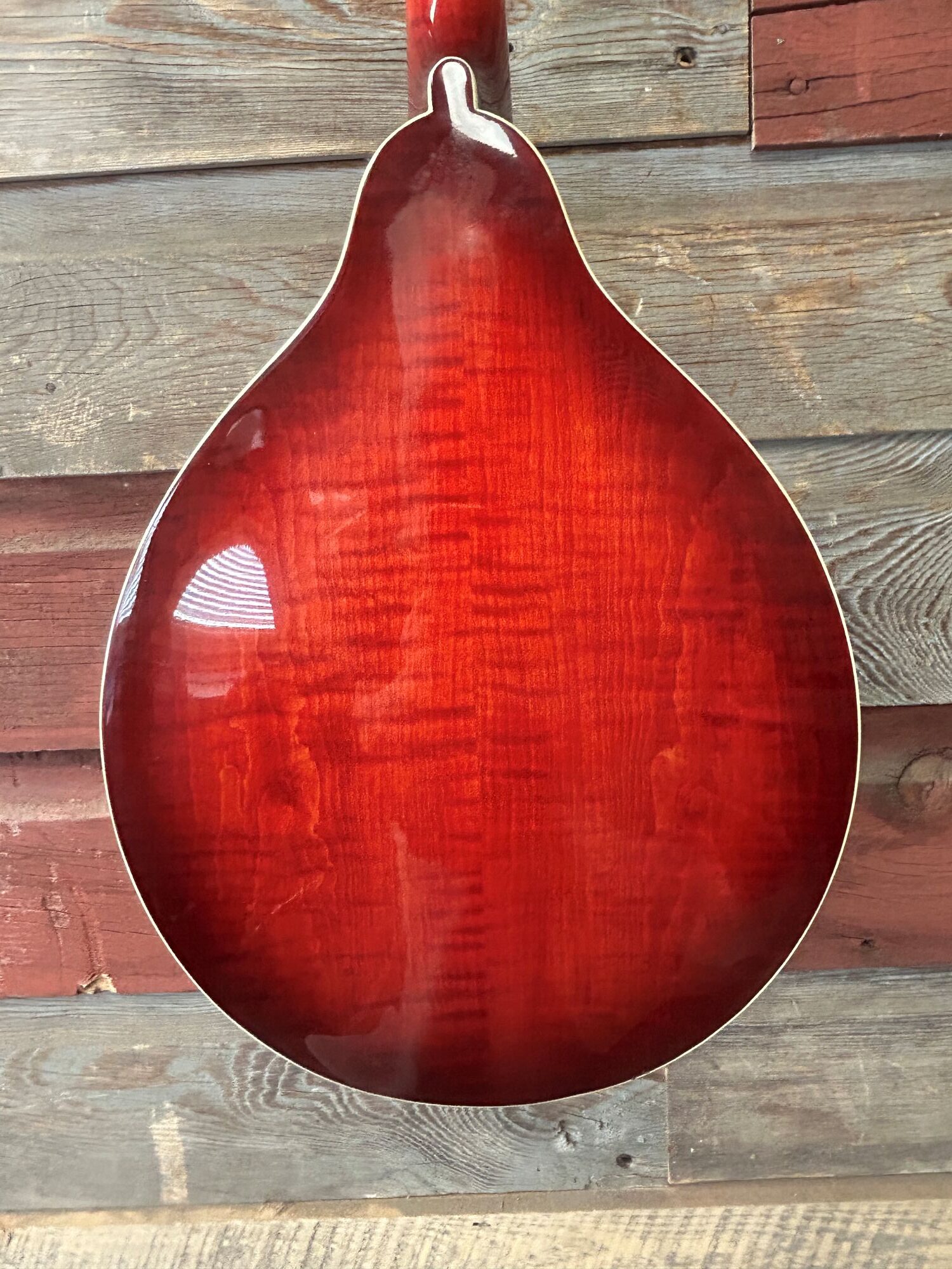 Tailwater TW-A5 Mandolin