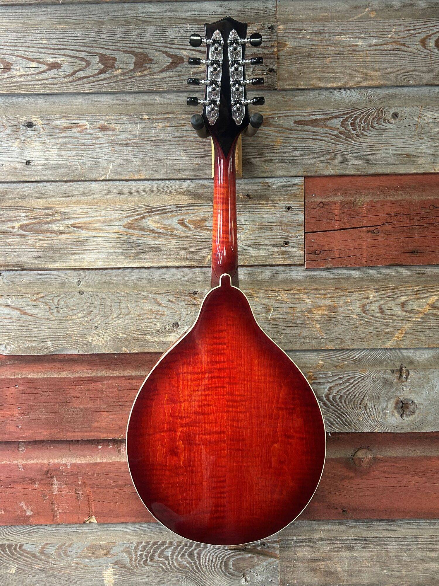 Tailwater TW-A5 Mandolin