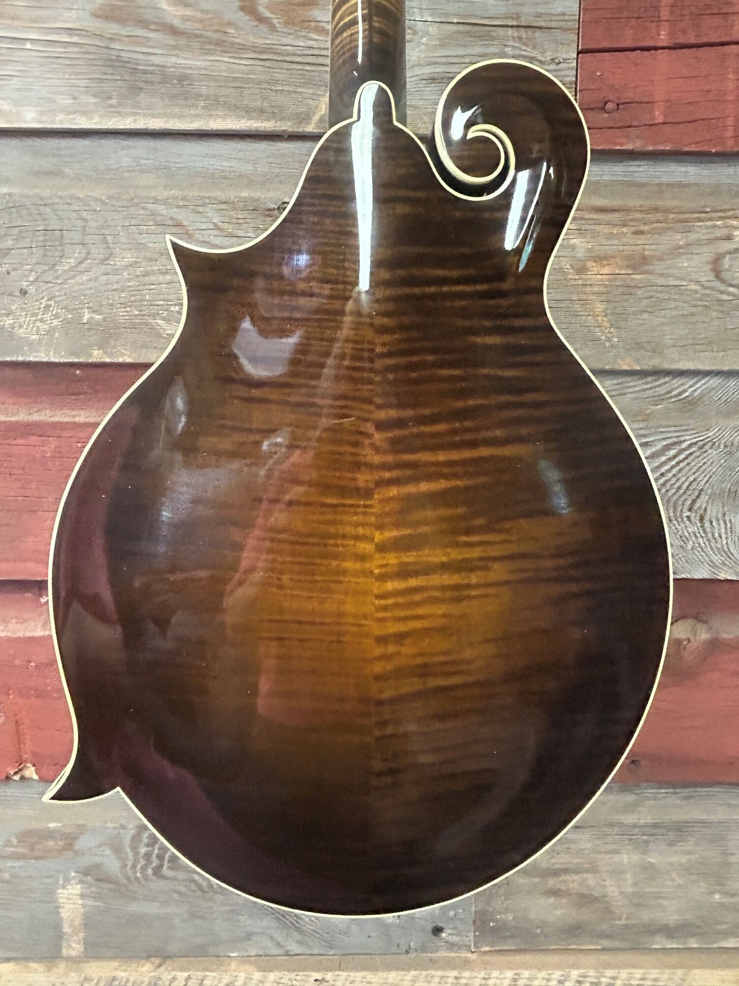 Northfield Big Mon Mandolin