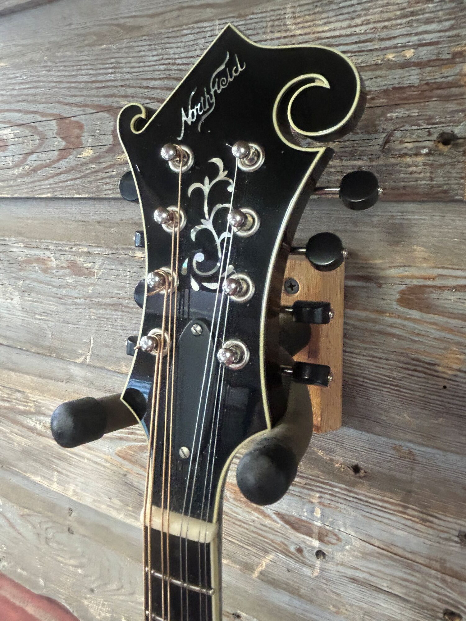 Northfield Big Mon Mandolin