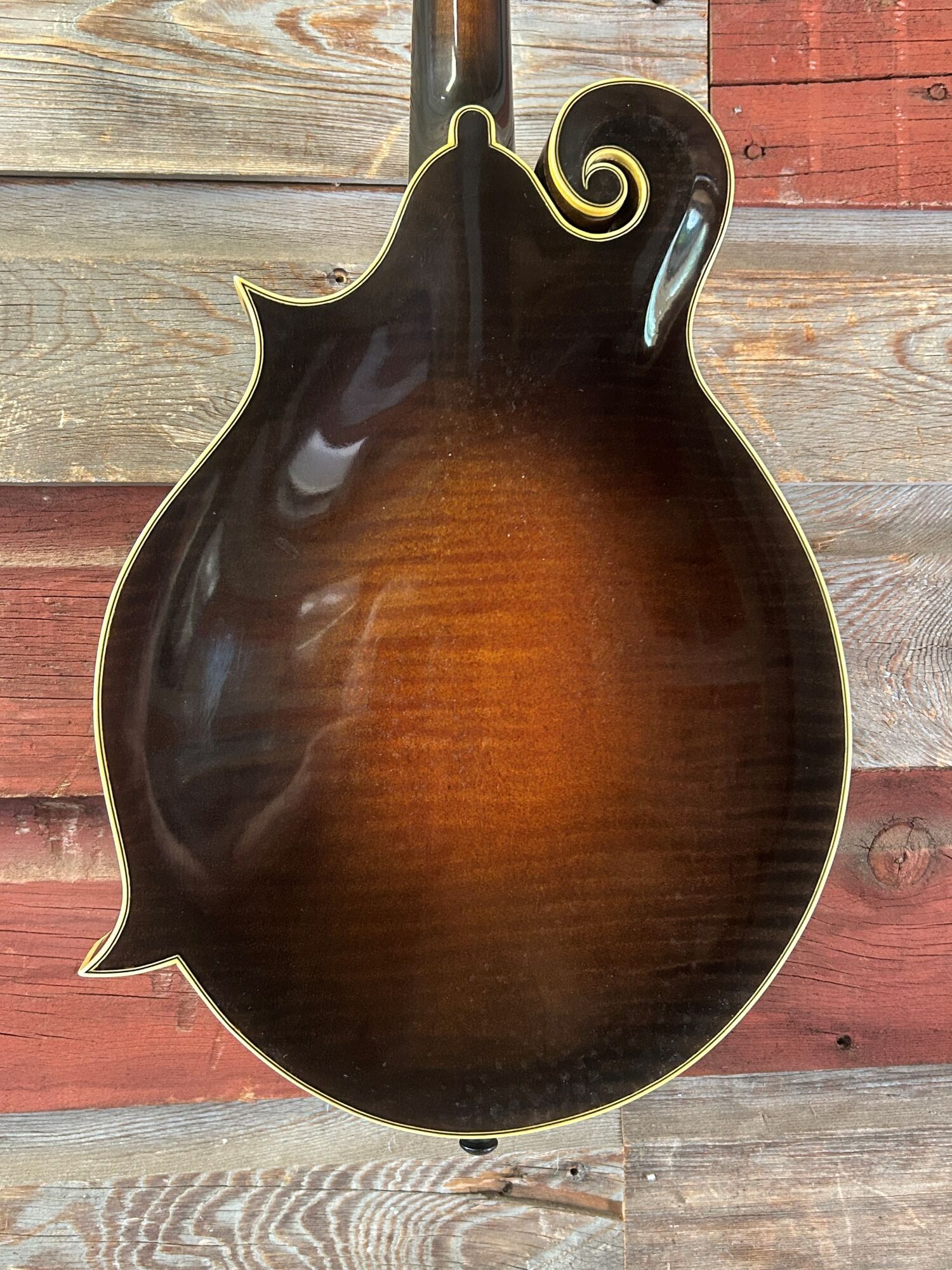 Elkhorn Mandolin