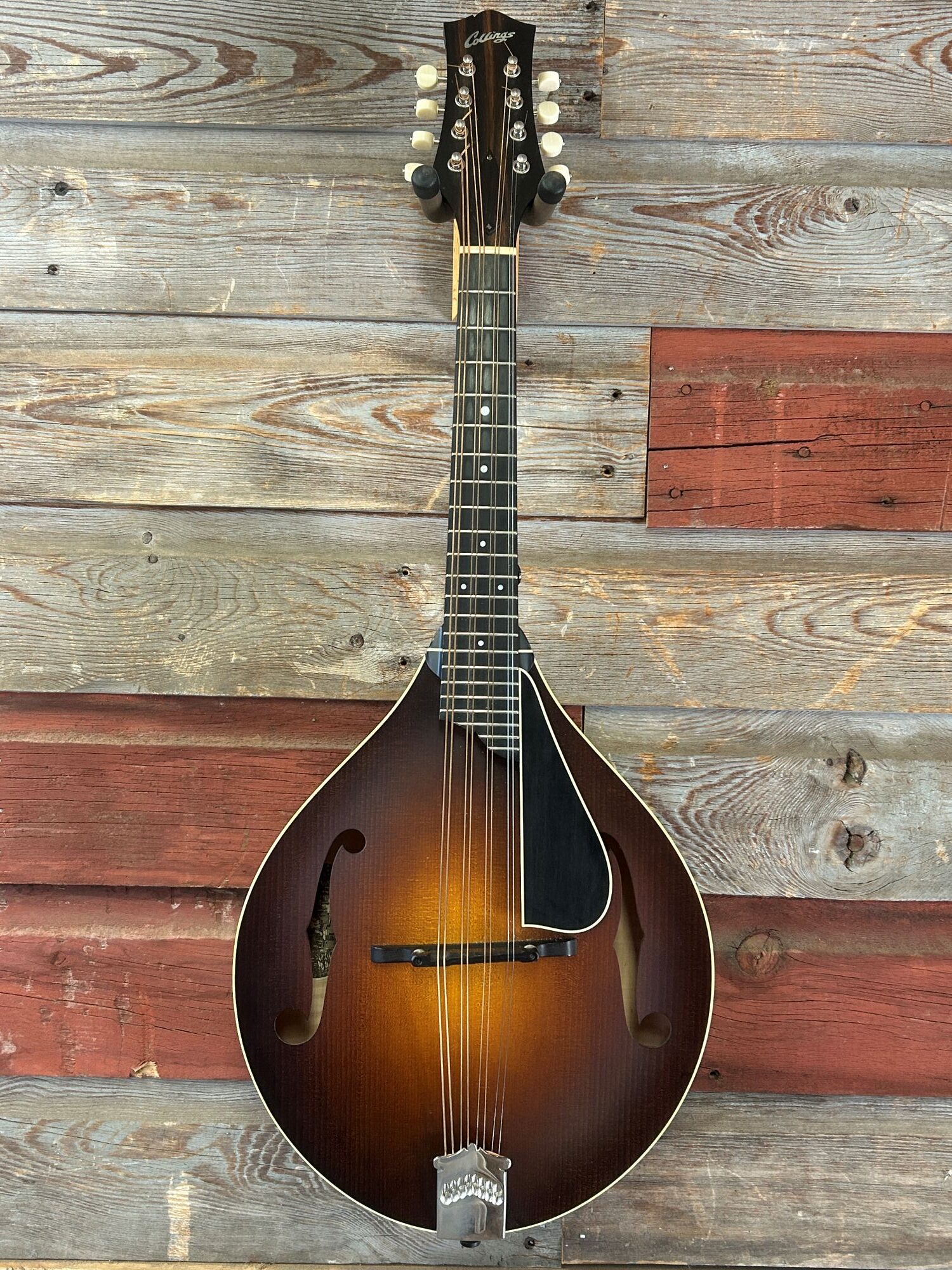Collings MT Mandola