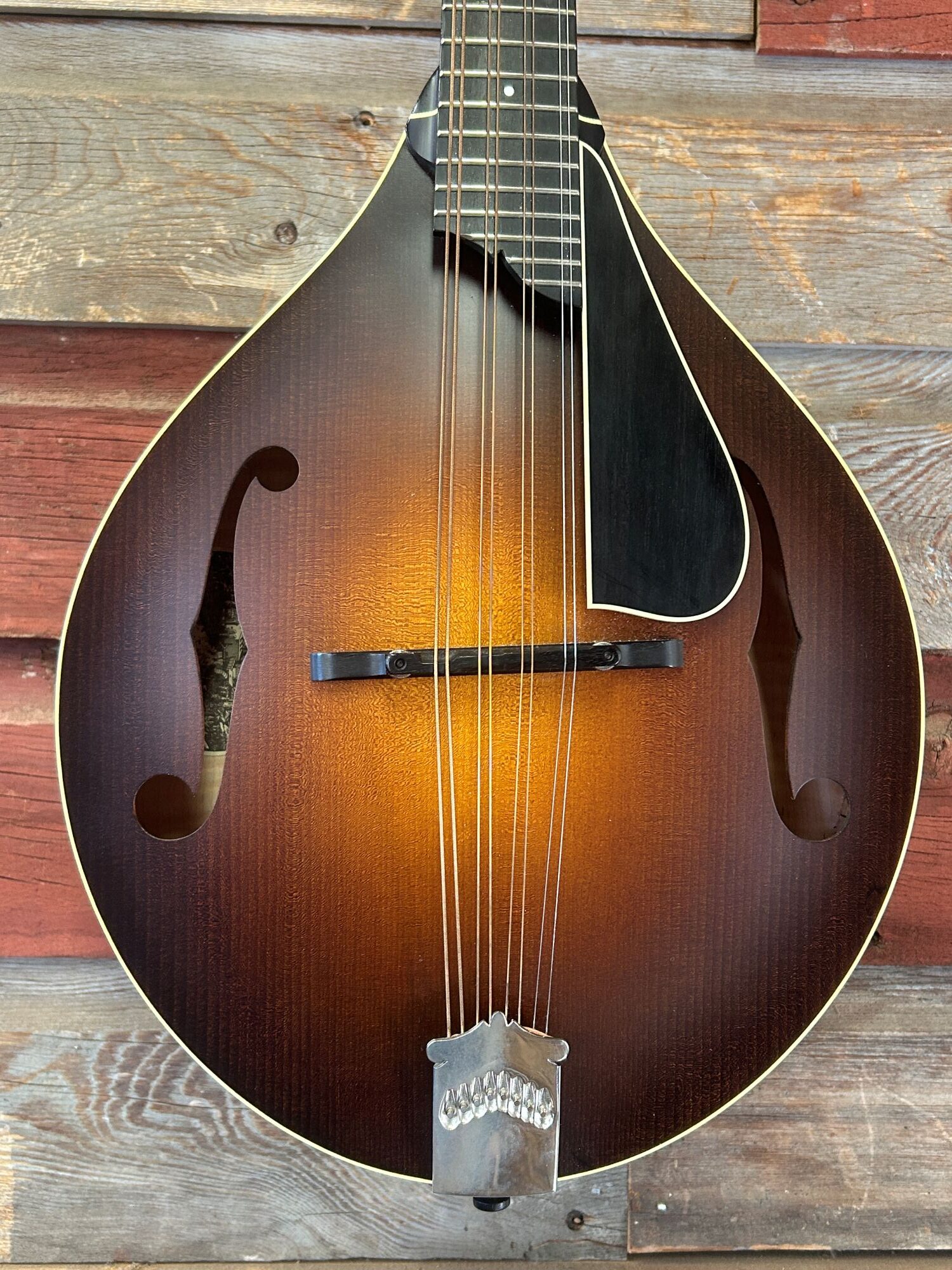 Collings MT Mandola