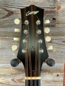 Collings MT Mandola