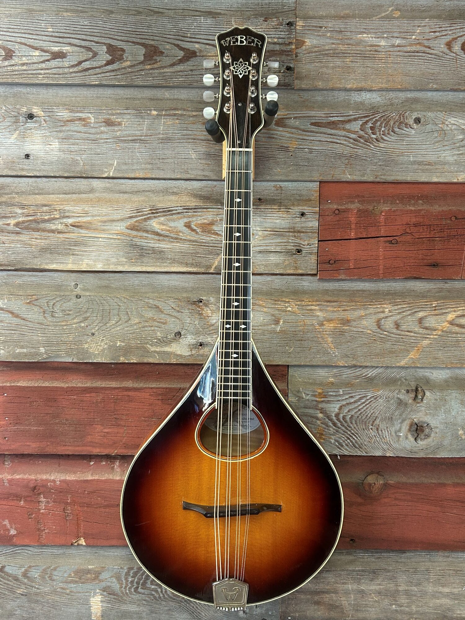 Weber Bridger A Mandola