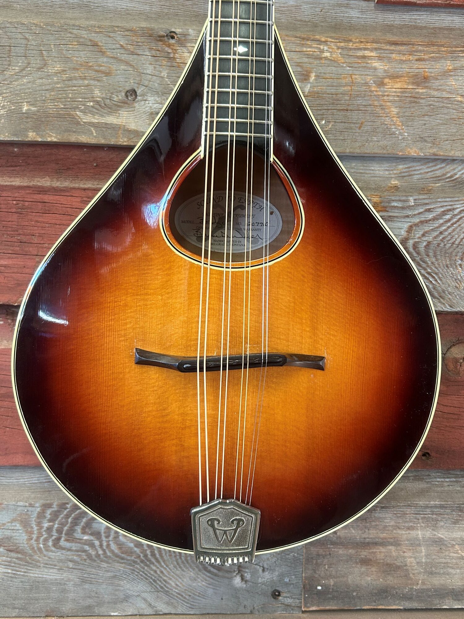 Weber Bridger A Mandola