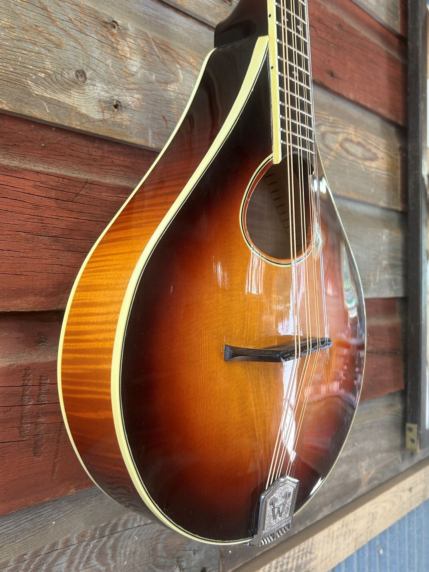 Weber Bridger A Mandola