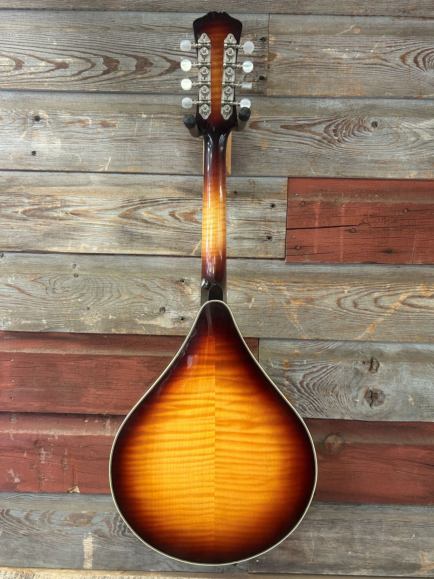 Weber Bridger A Mandola